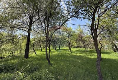 Casă  de vânzare în zona Câmpulung înconjurată de natura - 14