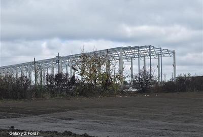 Vanzare depozit/hala/spatiu industrial Mogosoaia - Buftea - 7