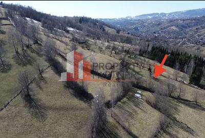 Teren Bran | 3.520 mp | Vedere Bucegi & Castelul Bran - 6