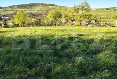 Casă individuală în zonă pitorească, cu 3271 mp teren, Vâlcele-Feleacu - 20