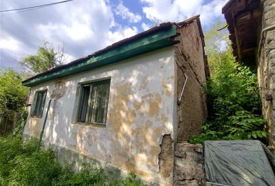 Sasca Montana | Oportunitate | Casa cu 230 MP Teren - 7