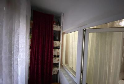 Caransebes, 2 Cam. Dec., 2 Balcoane, Mobilat + Utilat, Balta Sarata - 12