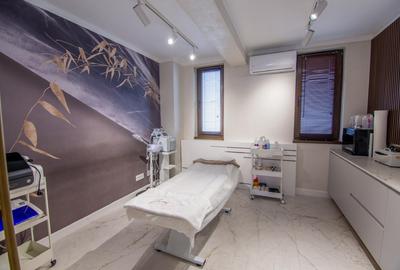 Vilă premium de închiriat cu destinație medicală/comercială – complet renovată! - 12