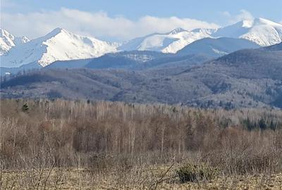 Teren intravilan 2500mp  pe Valea Avrigului,optim casa de vacanta - 9