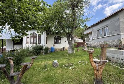 2 Case + teren 1390 mp langa parcul central Provita de Sus - 21
