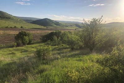 Teren de vanzare intravilan la intrare in Pata 800mp+200mp drum - 1