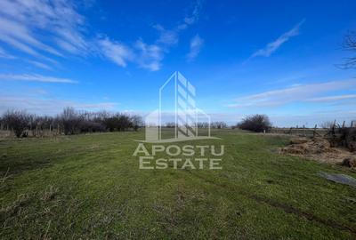 Parcele de teren pentru inchiriat, zona Gai - 3