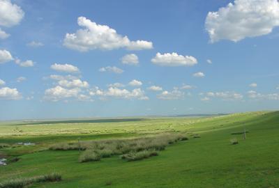 Cluj - berchesu frata - fond forestier padure -145 ha - 1
