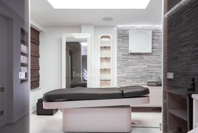 Vila Clinica /Salon de infrumusetare Lacul Tei  /Parcul Circului birouri - 13