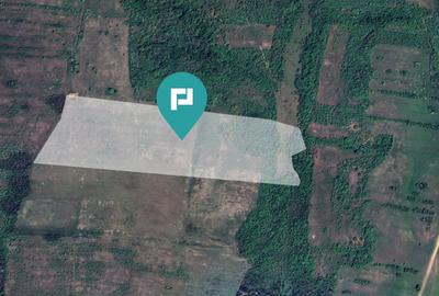 Teren arabil de 11,3 hectare în Bara, Timiș - 3