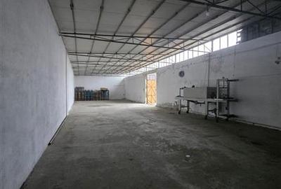 Ivestitie spatiu si platforma industriala - 9