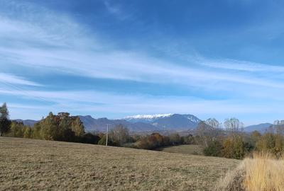 5800 mp fineata, pretabil camping, constructii A-frame, Sohodol, Bran - 2