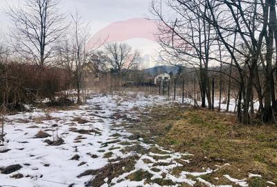 COMISION 0% | Teren 2,432mp | Cornu de Jos (Cornu)  Strada Florilor - 5