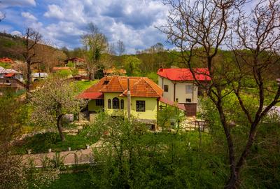 Provita de Sus, Prahova, Casa renovata, Comision 0 % - 32