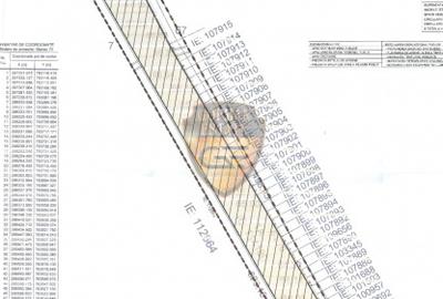 Proiect Investitie Cumpana, 6,7 ha lotizat, 132 case, aprox 400 mp, PUZ P+1, 2xD - 11