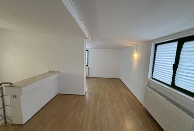 Vila Brancoveanu - Giurgiului - Utilizari Multiple - Firma - Locuinta - 13