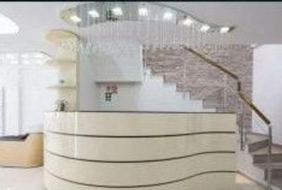 Vila stradala cu parcare  pretabila clinica ,birouri,horeca - 7