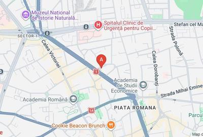 Apartament 6 camere Lascar Catargiu 253mp - 15