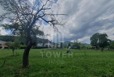 Teren de vanzare in Sibiel . - 2