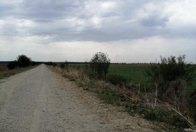 Branesti - 3