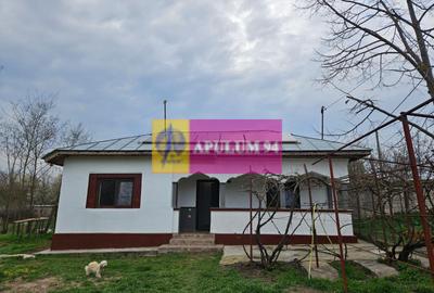 Casă individuală cu 2 camere în Bucșani