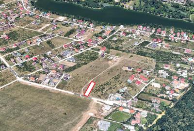 Terenul dintre 2 lacuri – 1000 mp în Mogoșoaia, la 5 minute de pădure - 8