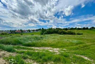 Teren 1.3 ha Aroneanu sat Dorobanț, Iași, pret 38 EUR/mp, Parțial Intravilan - 6