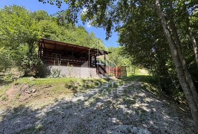 Casa din lemn, zona muntoasa, cu rau, la cheie, Ribita, Hunedoara - 52