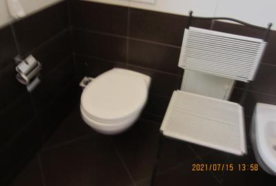 Casa duplex in Noua, P+E+M, 5 camere, 3 bai, mobilata si utilata, 499 mp teren! - 22
