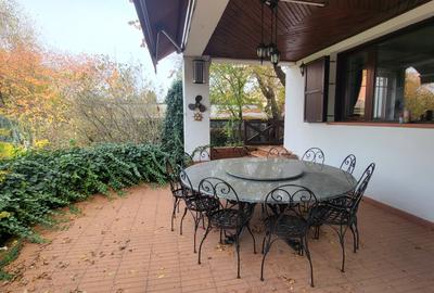 Vila lac snagov in cea mai buna portiune a lacului, ponton, garaj barca, piscina - 29