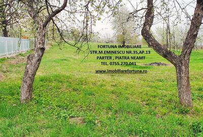 Teren intravilan Rediu, la 30 minute de oras, 4585 mp - 1