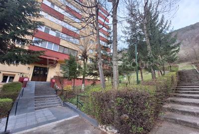Apartament parcare si boxa in Racadau, pet friendly - 1