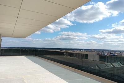 Penthouse 4 camere - 4