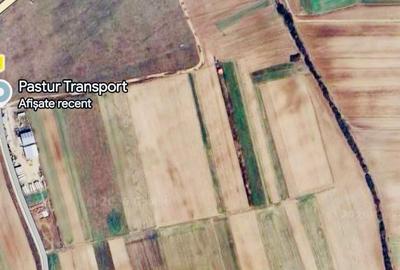 Teren agricol extravilan de 4634 mp, în Nojorid
