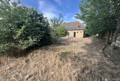 RECO , Spatiu comercial, Ineu,Bihor - 5