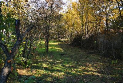 Teren Generos cu Casa in Gruiu - Snagov - 18