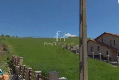 Teren cu suprafata totala de 2358 Mp, Albesti - 1