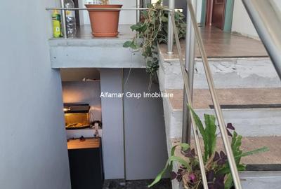 Vanzare proprietate cu 2 case Zurbaua- Dragomiresti Vale - 18