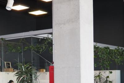 HALĂ CU RAFTURI INCLUSE ȘI 4 RAMPE TIR – BRAGADIRU, INCITY - 12
