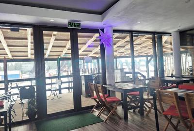 Pensiune turistica si restaurant, 5 camere, partia Vartop, Arieseni - 4