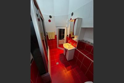 Casa in inima Aradului, ultracentral pe Malul Muresului - 8