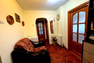 Vanzare apartament 2 camere decomandat Cornisa Bistritei - stare foarte buna - 10