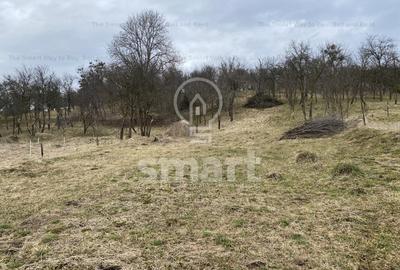 Teren intravilan cu CF 5400mp front 17 Savadisla jud Cluj - 15