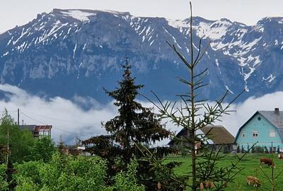 Cabană montană cu panoramă Bucegi & Piatra Craiului – Fundata - 7