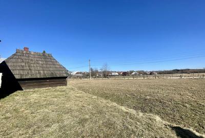 CASA RENOVATA + TEREN 3100 MP | CURTE SI GRADINA | FRATAUTII NOI - 24