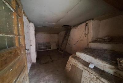 RECO  casa batraneasca Salard - 9