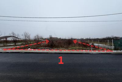 Teren 6000 mp in Snagov pentru construcții rezidențiale - 1