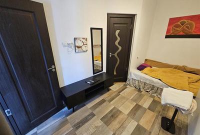 Casa 2 apartamente si curte privata , AFI Mall Brasov - 16