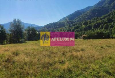 Teren Județul Vâlcea - Brezoi, Valea lui Stan - 7