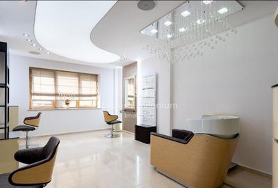 Vila Clinica /Salon de infrumusetare Lacul Tei  /Parcul Circului birouri - 4